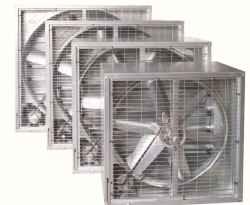 ��֪����ʲôؓ(f��)���L(f��ng)�C(j��)��(hu��)�a(ch��n)�������