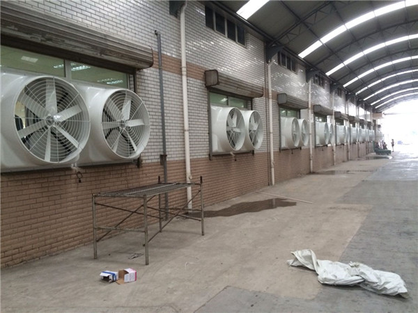 ؓ(f��)���L(f��ng)�C(j��)����